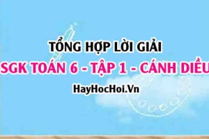 Giải Bài tập Toán 6 tập 1 SGK Cánh Diều
